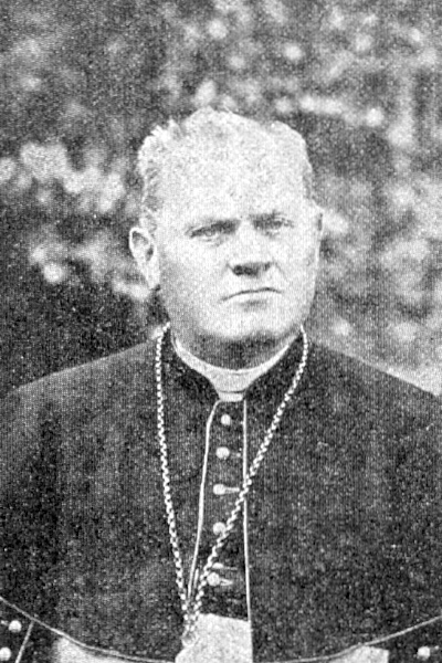 Hohaus, Dr. Wilhelm