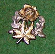 Silberne Ehrennadel des Glatzer Gebirgsvereins mit Eichenblatt (um 1925)