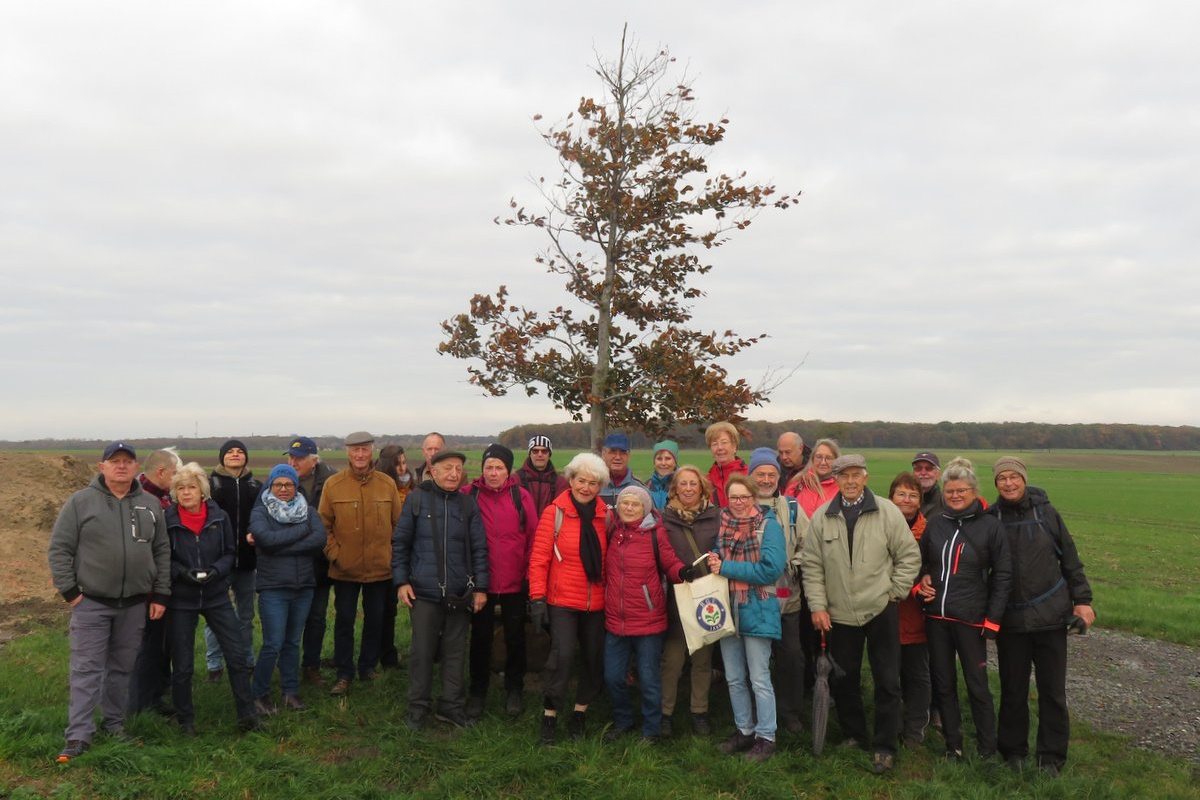 Abschlusswanderung am 12.11.2023